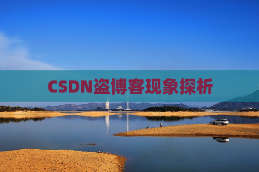 CSDN盗博客现象探析 CSDN盗博客现象探析
